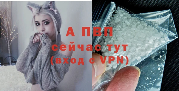 ECSTASY Корсаков