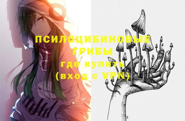 герыч Коряжма