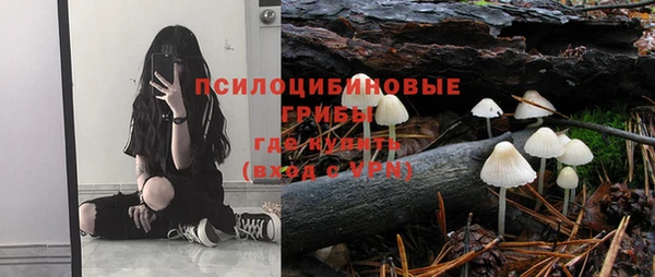 герыч Коряжма