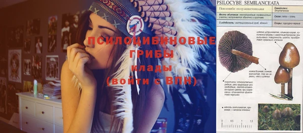 ECSTASY Корсаков