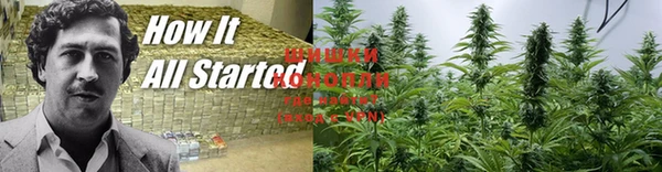 кокс Костерёво