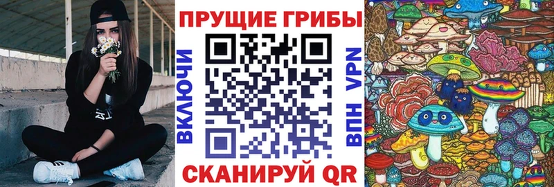 Псилоцибиновые грибы ЛСД Южно-Сахалинск