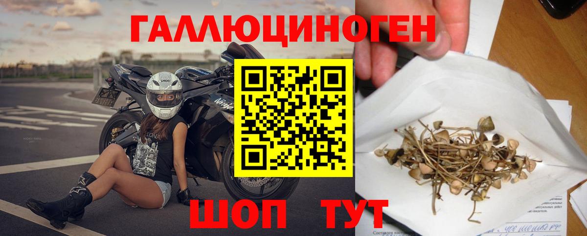 Южно-Сахалинск  Псилоцибиновые грибы GOLDEN TEACHER  Вход с VPN 
