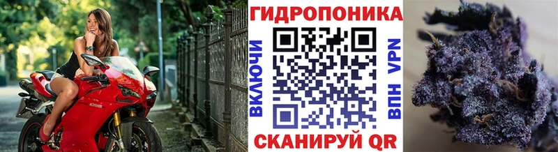 Бошки марихуана AK-47 Южно-Сахалинск